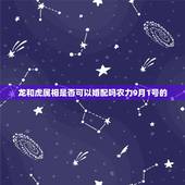龙和虎属相是否可以婚配吗农力9月1号的，龙可以婚配什么属相？