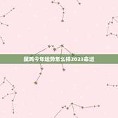 属鸡今年运势怎么样2023命运(介绍财运旺盛事业有成)