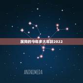 属狗的今年多大年龄2022，2022年属狗