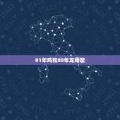 81年鸡和88年龙婚配，81年属鸡和88年属龙婚姻怎么样