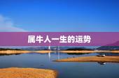 属牛人一生的运势，1997年属牛一生运势