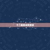 十二星座运势查询 星座运势大全查询
