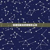 属猪和属龙的婚姻怎么样，猪和龙合不合财