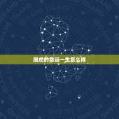 属虎的命运一生怎么样，1976年属虎男一生命运
