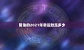 属兔的2021年幸运数是多少，1987年属兔的幸运数字