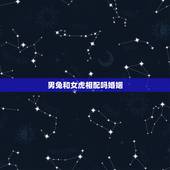 男兔和女虎相配吗婚姻，男兔和女虎相配婚姻如何