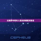 红楼梦中邢夫人侄女的婚配对象是，红楼梦中邢夫人是谁的妻子