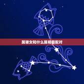 属猪女和什么属相最配对，女属猪的更佳婚配