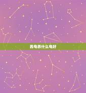 养龟养什么龟好，什么品种的乌龟最好养？