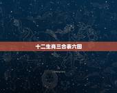 十二生肖三合表六图，生肖三合6合对照表
