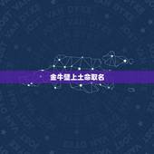 金牛壁上土命取名，2022 壁上土命缺什么