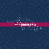 1995年属猪的姻缘方位，怎样看婚姻方位