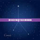 属牛的打春是不是又要忌属相，属牛的人在09年打春时需要注意些什么