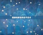 属猪和属羊的合不合才，属羊和属猪相配吗