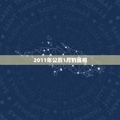 2011年公历1月的属相，2011年公历1月初25号属牛是什么星座