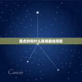 属虎的和什么属相最佳搭配，属虎的与什么属相最相配