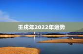 壬戌年2022年运势，八二年出生一生运势