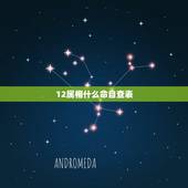 12属相什么命自查表，属相与命相对应表