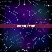 鹦鹉智商十大排名，哪种玄凤鹦鹉最聪明