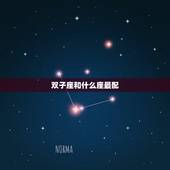 双子座和什么座最配，双子座女生和什么星座最配