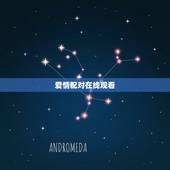爱情配对在线观看，爱情配对测试