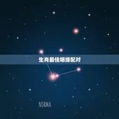 生肖最佳姻缘配对，2018年生肖配对姻缘