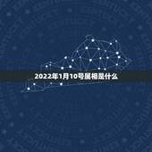 2022年1月10号属相是什么，2022年是什么属相