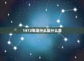 1972年是什么鼠什么命，1972年属鼠是什么命