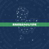 属兔的命运为什么不好呢，我是1999年12月初二出生的属兔命运好不