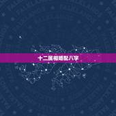 十二属相婚配八字，婚配到底是看八字还是看属相？