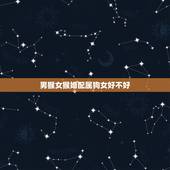 男猴女猴婚配属狗女好不好，男属猴，女属狗，两人在一起好吗？