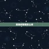 属猪的婚姻怎么样，1995年属猪姻缘