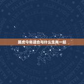 属虎今年适合与什么生肖一起，属虎的人和什么属相的最配