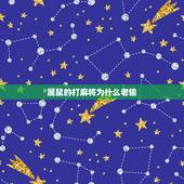 属鼠的打麻将为什么老输，喜欢的生肖女