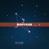 属虎的今年运程，62年属虎人躲不过去的大难