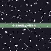 猪和龙能过一辈子吗，猪与龙的关系