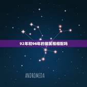 92年和96年的猪属相相配吗，92年属猴和95年属猪配么？