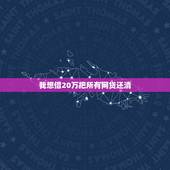 我想借20万把所有网贷还清，您好，问下，我欠网贷加信用卡总共差不多有2
