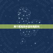 两个属龙同年同月婚配吗，俩个属龙的人相配吗？