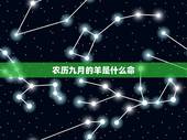农历九月的羊是什么命，1991年9月属羊男的财运