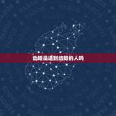 动婚是遇到结婚的人吗，动婚是什么意思？