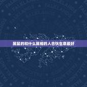 属鼠的和什么属相的人合伙生意最好，属鼠的和什么属相合伙做生意最配最合适