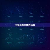 壬寅年各日柱的运势，辛亥日柱壬寅年运势