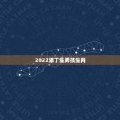 2022添丁生男孩生肖，在古代历史上，为什么生男孩叫“添丁”生女孩叫“