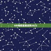 tim每周星座运势2022，星座运势查询每日更新