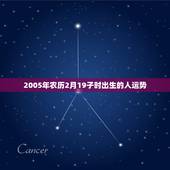 2005年农历2月19子时出生的人运势，81年农历2月十四子时出生人的
