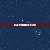 男属狗的最佳婚配属相，属狗的男人和什么属相最配