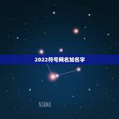 2022符号网名加名字，特殊符号网名2021
