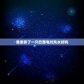 我家养了一只巴西龟对风水好吗，养乌龟对风水有什么讲究