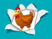 属鸡的人和什么属相相克(十二生肖相克大揭秘)